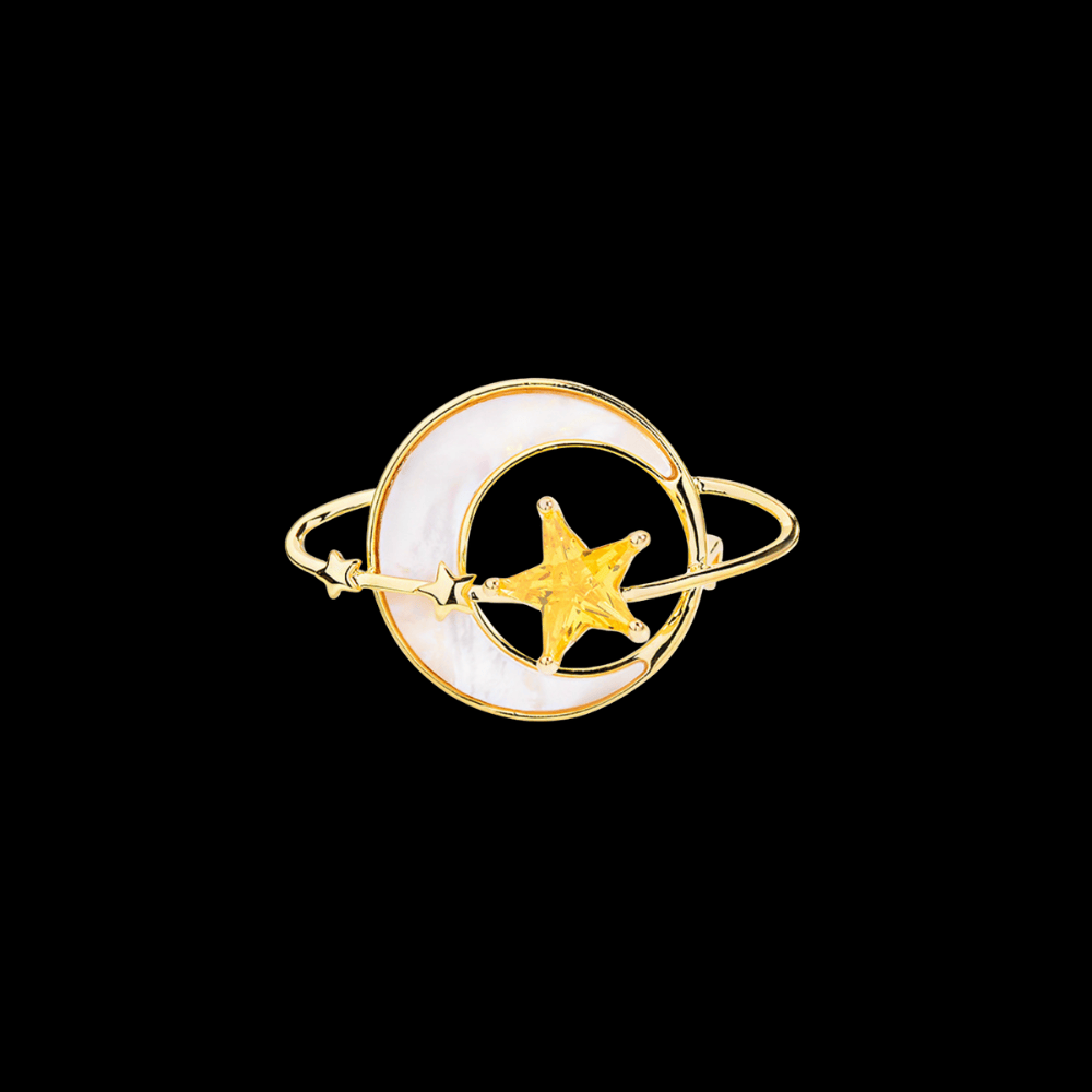 AVELIA Gold Moon and Star Brooch​