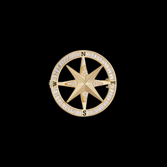 AVELIA Men's Gold Crystal Compass Brooch
