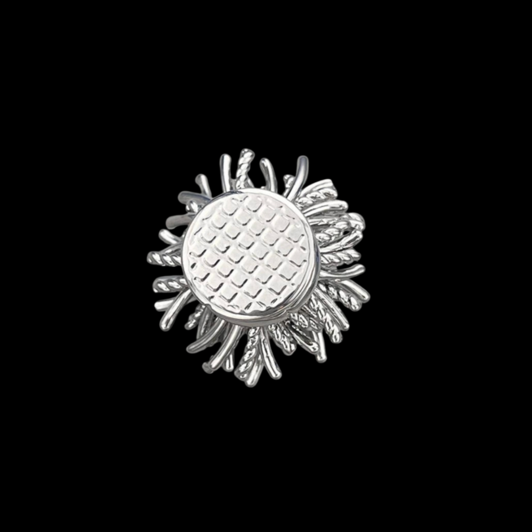 AVELIA Silver Magnetic Firework Brooch
